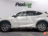 2019 Lexus NX300