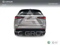 2019 Lexus NX300