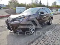 2019 Lexus NX300
