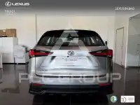 2019 Lexus NX300