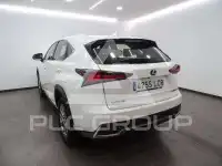 2019 Lexus NX300
