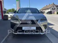 2019 Lexus NX300