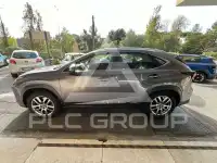 2019 Lexus NX300