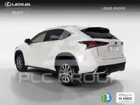 2019 Lexus NX300