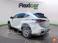 2019 Lexus NX300