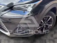 2019 Lexus NX300