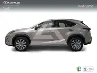 2019 Lexus NX300