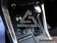 2019 Lexus NX300