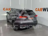 2019 Lexus NX300