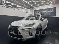 2019 Lexus NX300