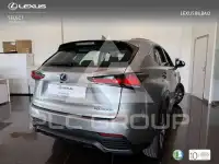 2019 Lexus NX300