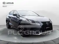 2019 Lexus NX300