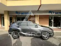 2019 Lexus NX300