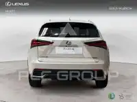 2019 Lexus NX300