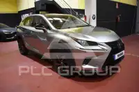 2019 Lexus NX300