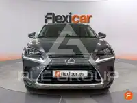 2019 Lexus NX300