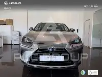 2019 Lexus NX300