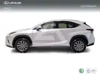 2019 Lexus NX300