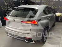 2019 Lexus NX300