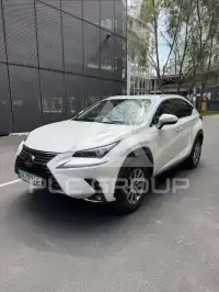 2019 Lexus NX300
