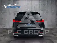 2019 Lexus NX300