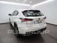 2019 Lexus NX300