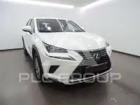 2019 Lexus NX300