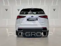 2019 Lexus NX300