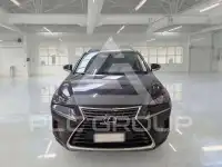 2019 Lexus NX300