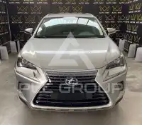 2019 Lexus NX300