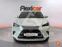 2019 Lexus NX300