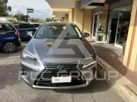 2019 Lexus NX300