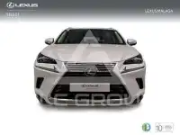 2019 Lexus NX300