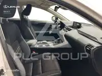 2019 Lexus NX300
