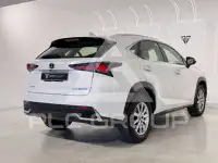 2019 Lexus NX300