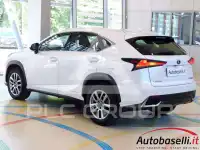 2019 Lexus NX300