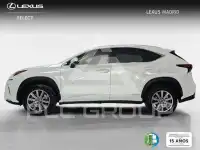 2019 Lexus NX300