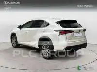 2019 Lexus NX300