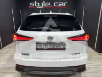 2019 Lexus NX300
