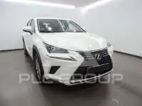 2019 Lexus NX300