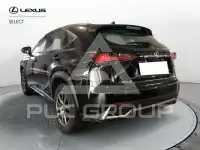 2019 Lexus NX300