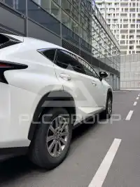 2019 Lexus NX300