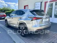 2019 Lexus NX300