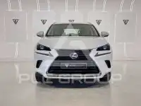 2019 Lexus NX300