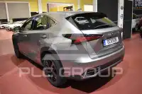 2019 Lexus NX300
