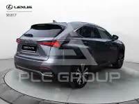 2019 Lexus NX300