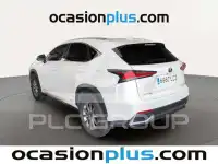 2019 Lexus NX300