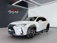 2019 Lexus UX250