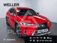 2019 Lexus UX250