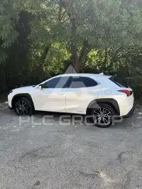 2019 Lexus UX250
